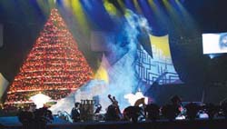living christmas tree